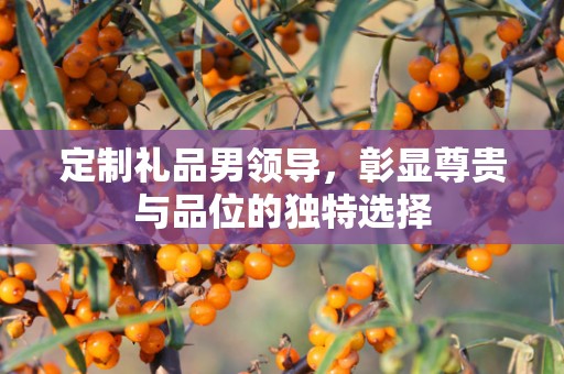 定制礼品男领导，彰显尊贵与品位的独特选择